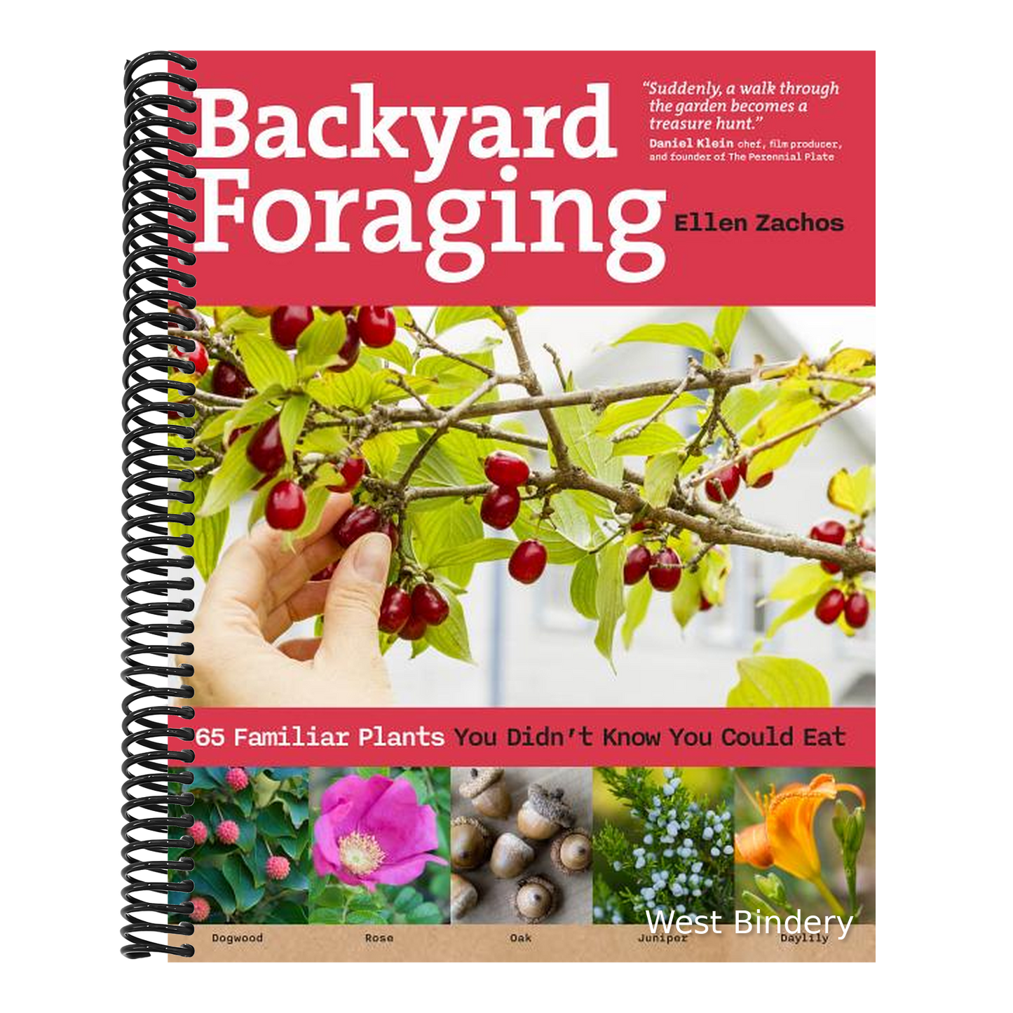 Backyard Foraging: 65 Familiar Plants You Didn't Know You Could Eat