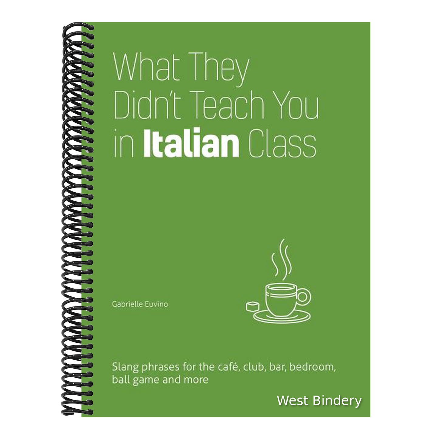 What They Didn't Teach You in Italian Class: Slang Phrases for the Cafe, Club, Bar, Bedroom, Ball Game and More