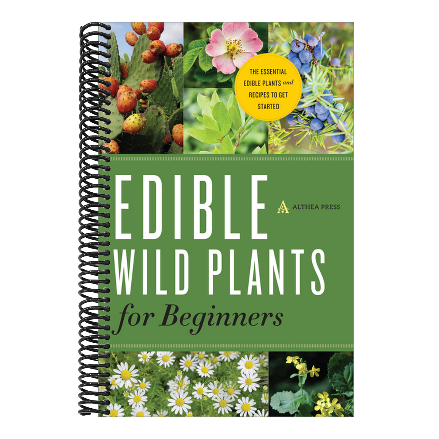 Edible Wild Plants for Beginners: The Essential Edible Plants and Recipes to Get Started