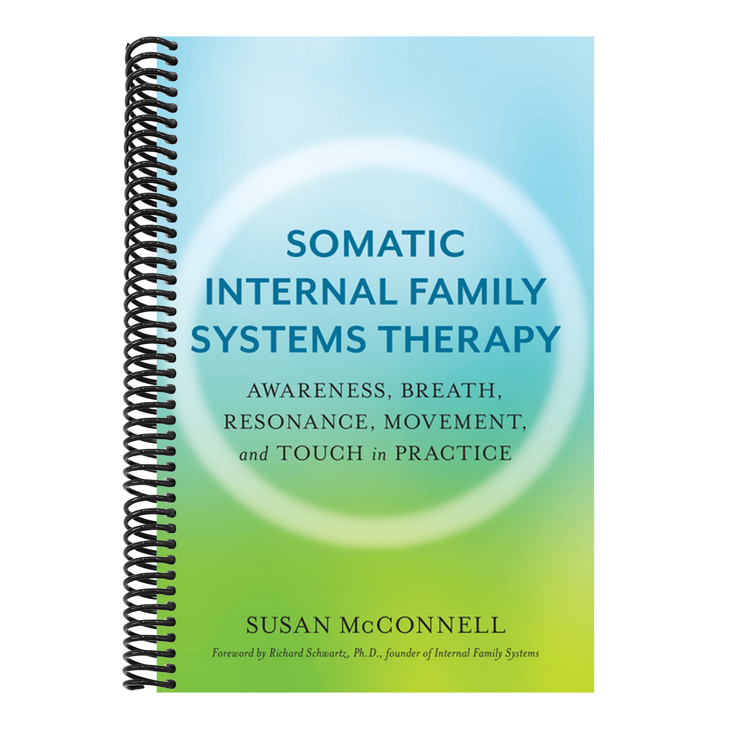 Somatic Internal Family Systems Therapy: Awareness, Breath, Resonance, Movement, and Touch in Practice--Endorsed by Top Experts in Therapeutic Healing
