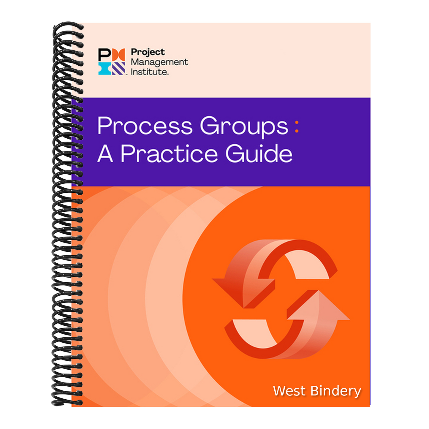 Process Groups: A Practice Guide
