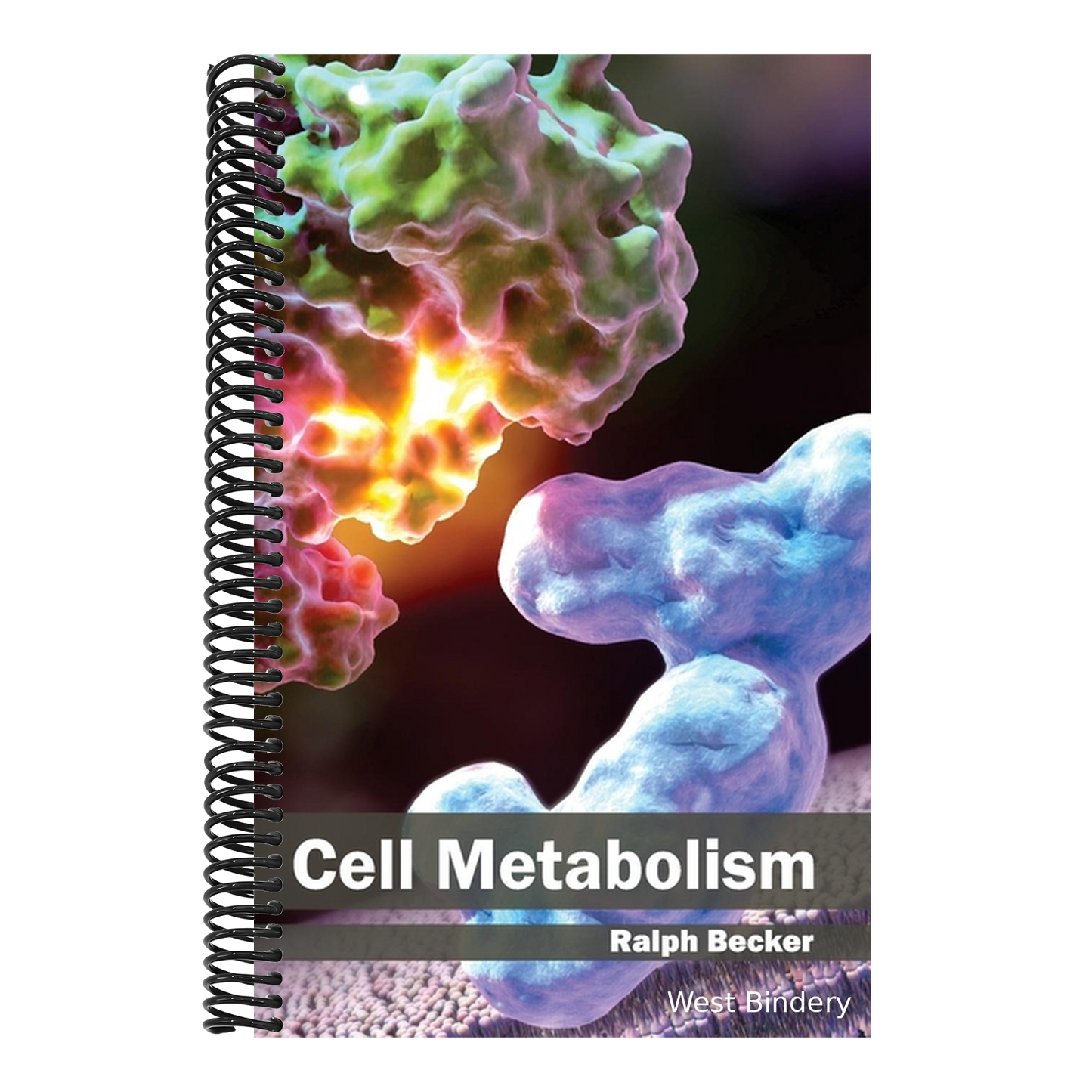 Cell Metabolism