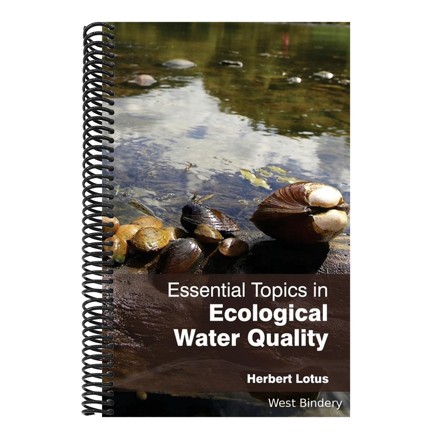 Essential Topics in Ecological Water Quality
