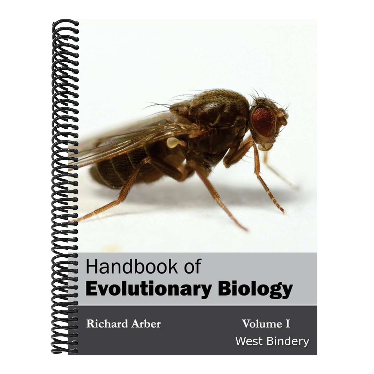 Handbook of Evolutionary Biology: Volume I