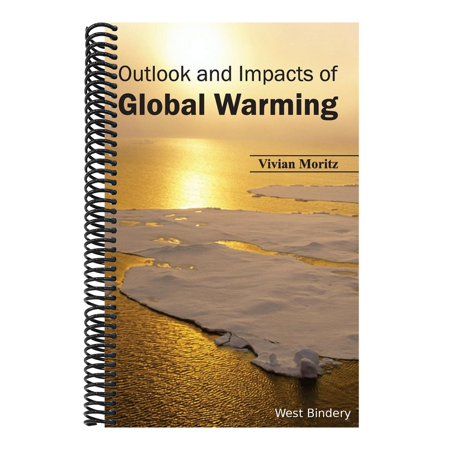 Outlook and Impacts of Global Warming