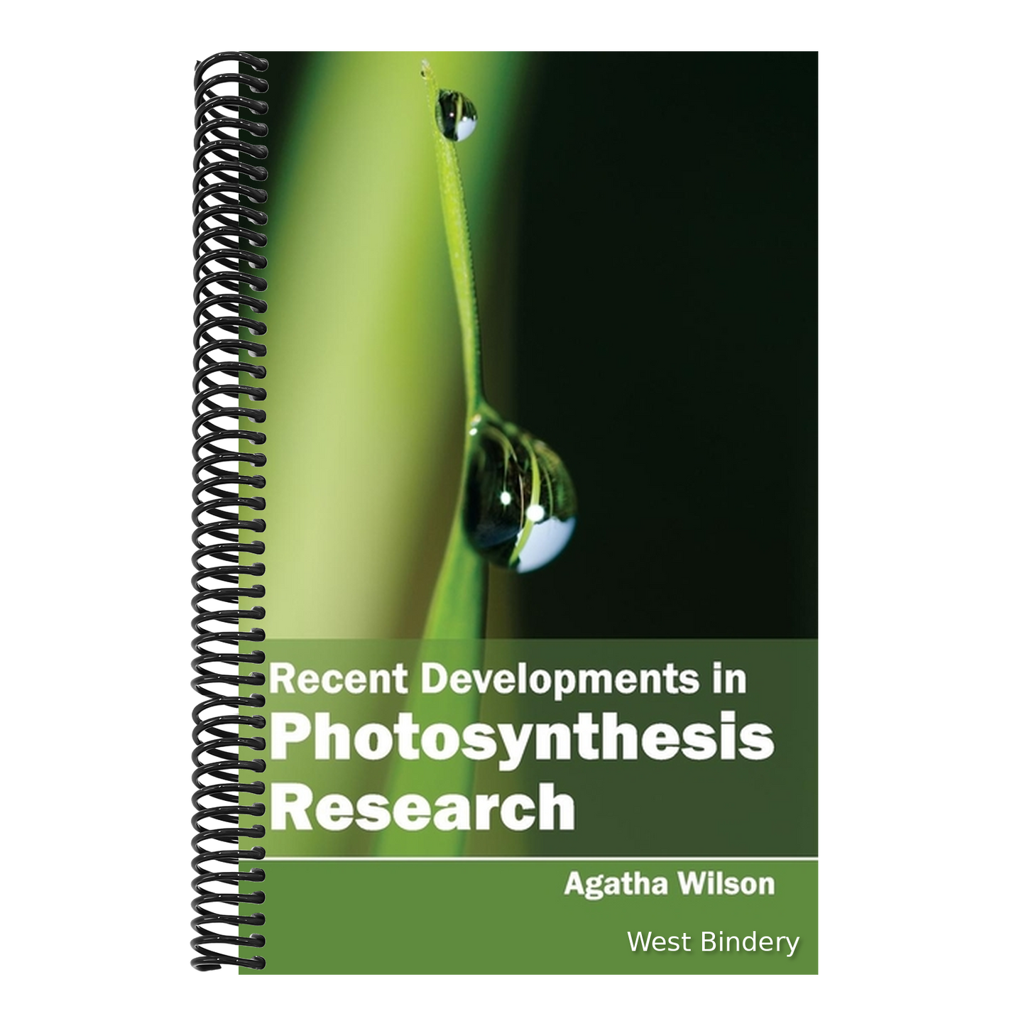 Recent Developments in Photosynthesis Research