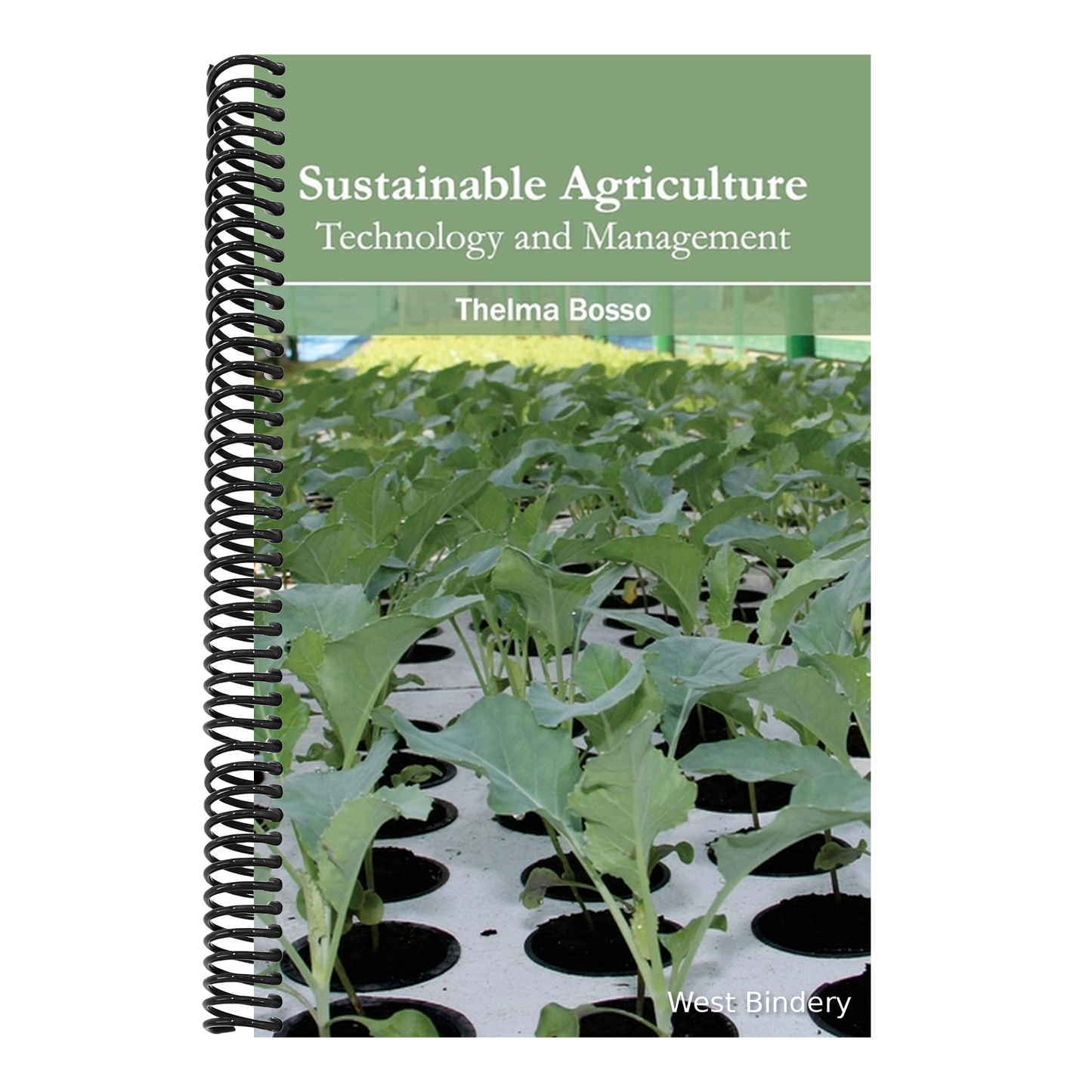 Sustainable Agriculture: Technology and Management