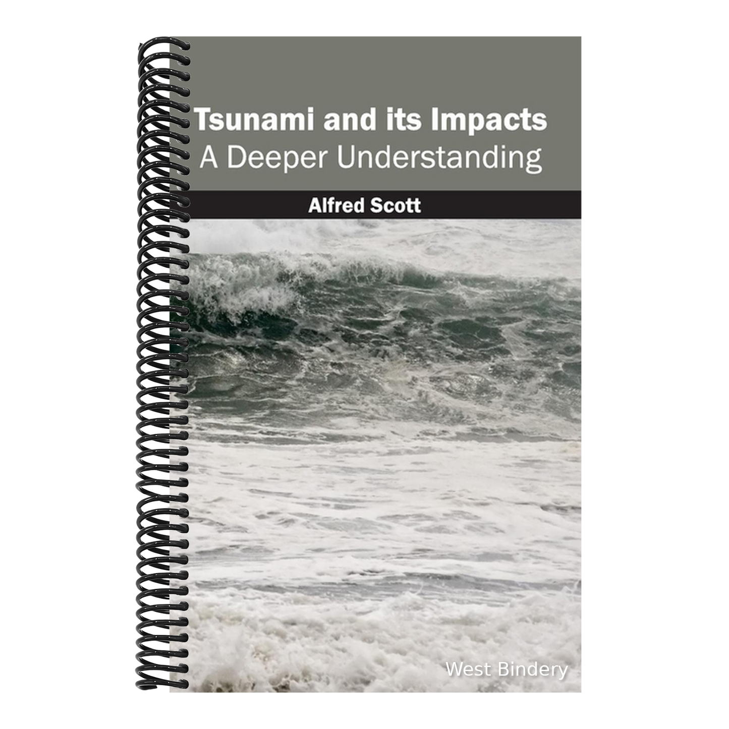 Tsunami and Its Impacts: A Deeper Understanding