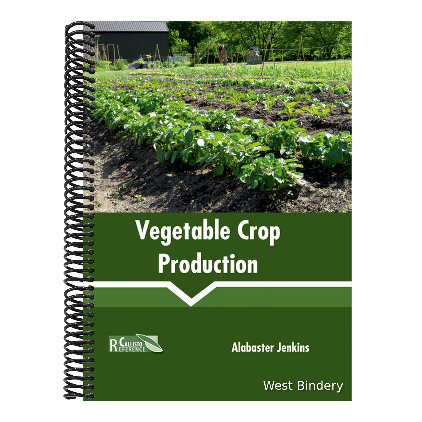 Vegetable Crop Production
