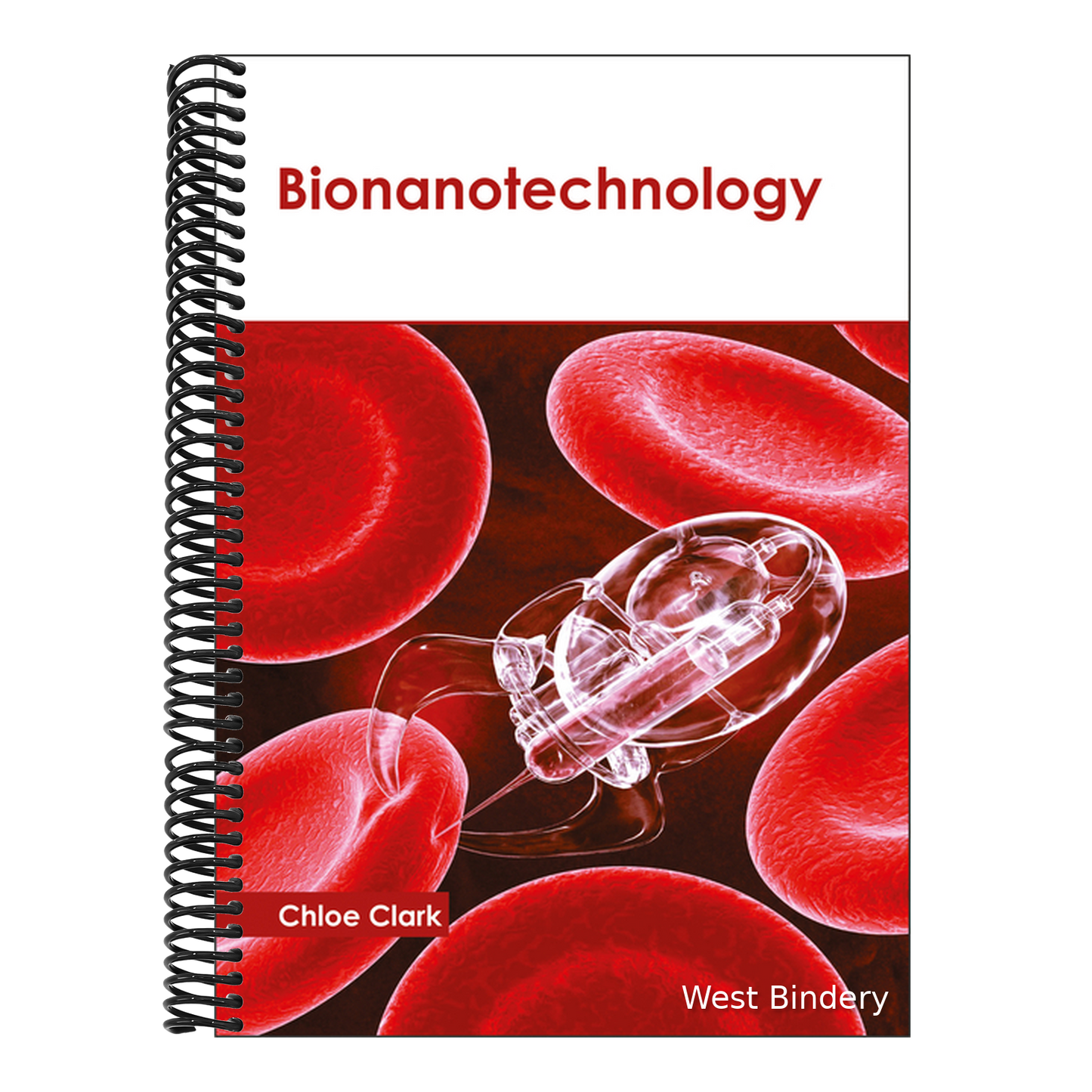 Bionanotechnology