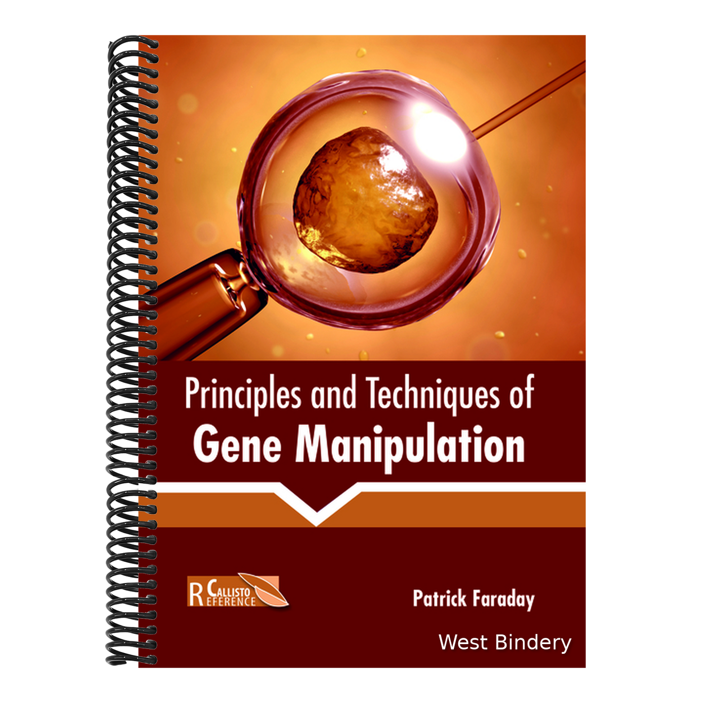 Principles and Techniques of Gene Manipulation