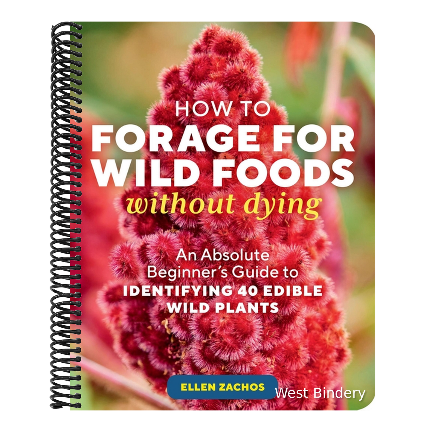How to Forage for Wild Foods Without Dying: An Absolute Beginner's Guide to Identifying 40 Edible Wild Plants