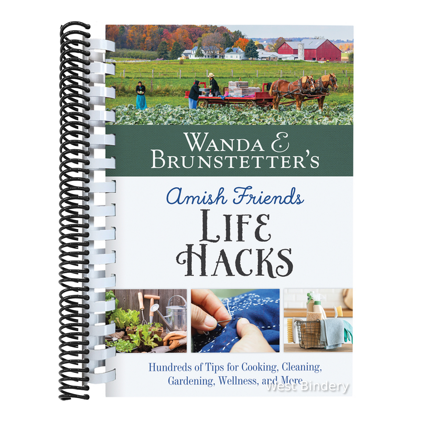 Wanda E. Brunstetter's Amish Friends Life Hacks: Hundreds of Tips for Cooking, Cleaning, Gardening, Wellness, and More