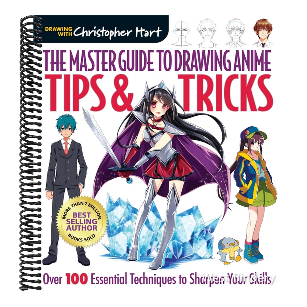 Master Guide to Drawing Anime: Tips & Tricks: Over 100 Essential Techniques to Sharpen Your Skills - A How to Draw Anime / Manga Step by Step Book Ser