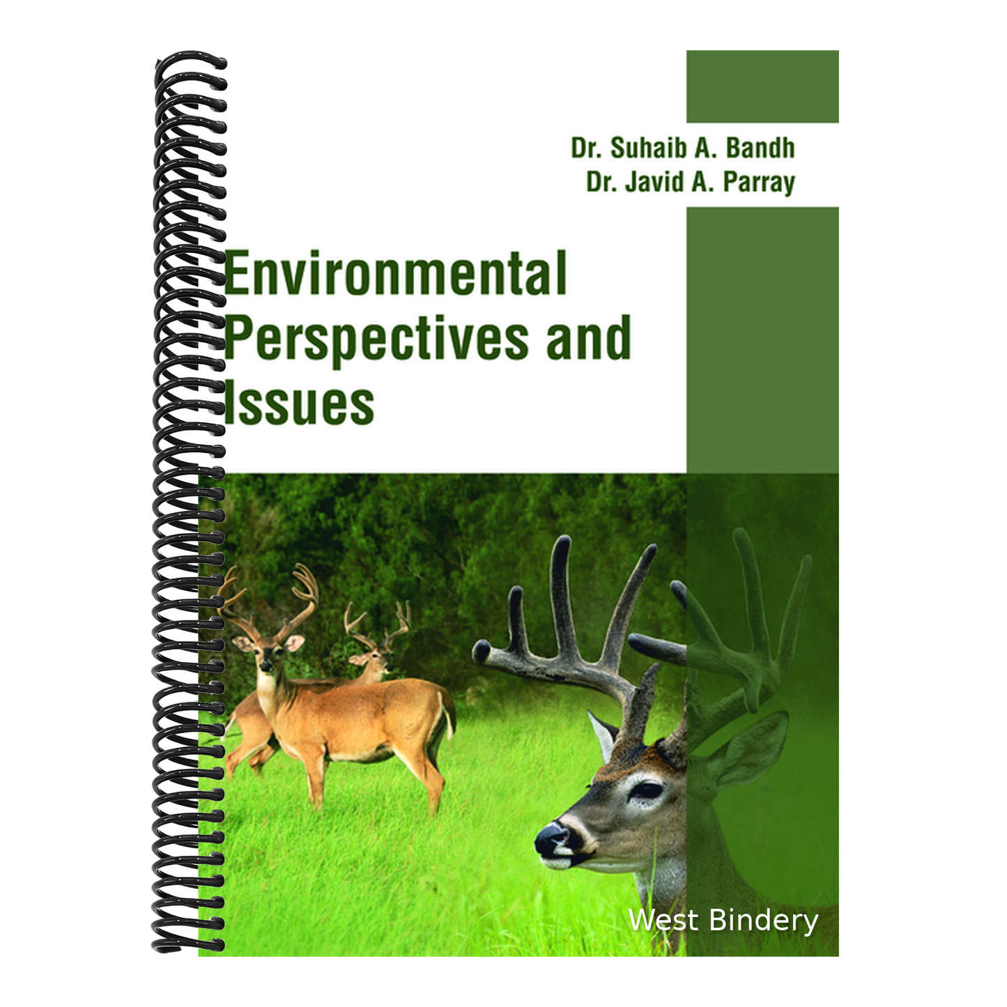 Environmental Perspectives and Issues