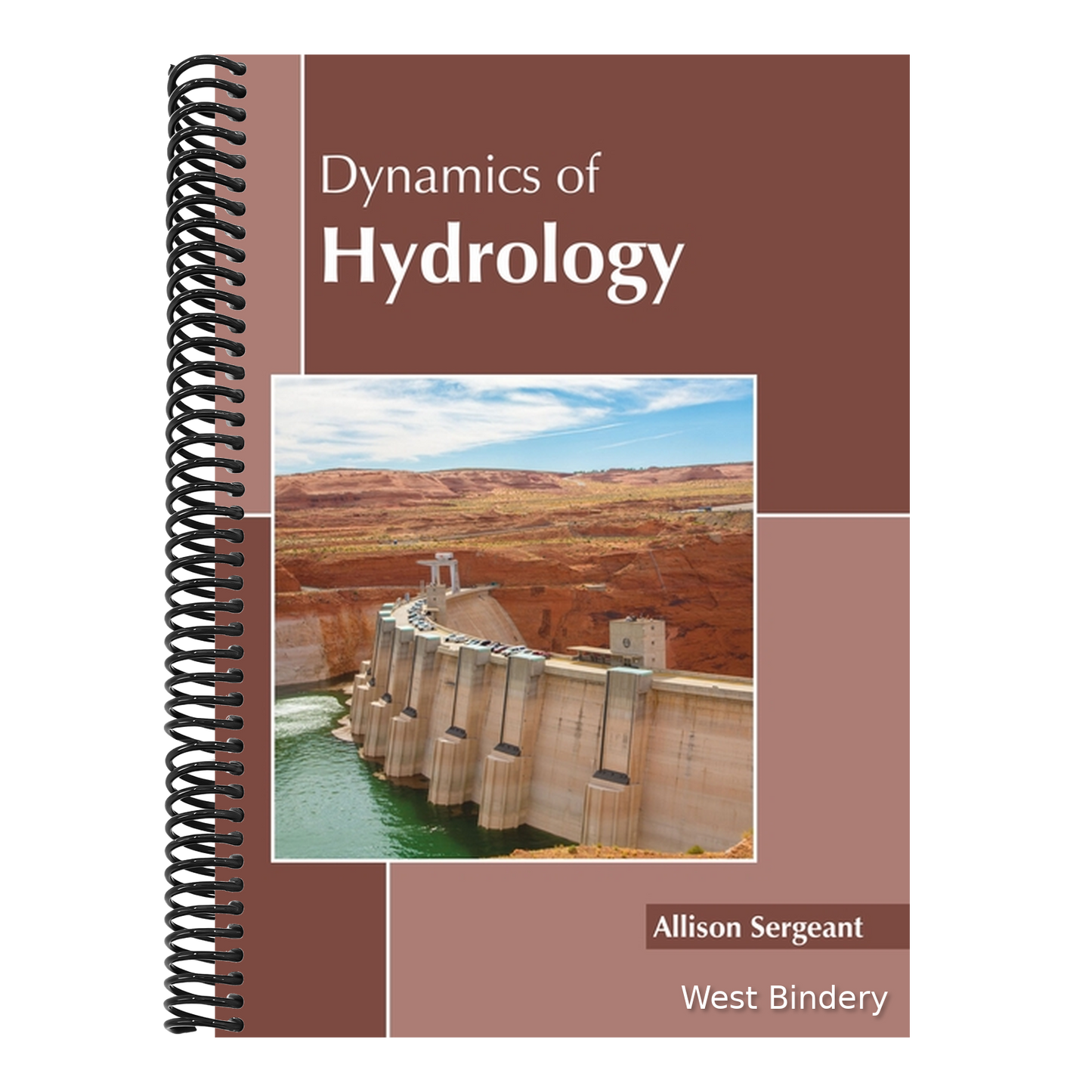Dynamics of Hydrology