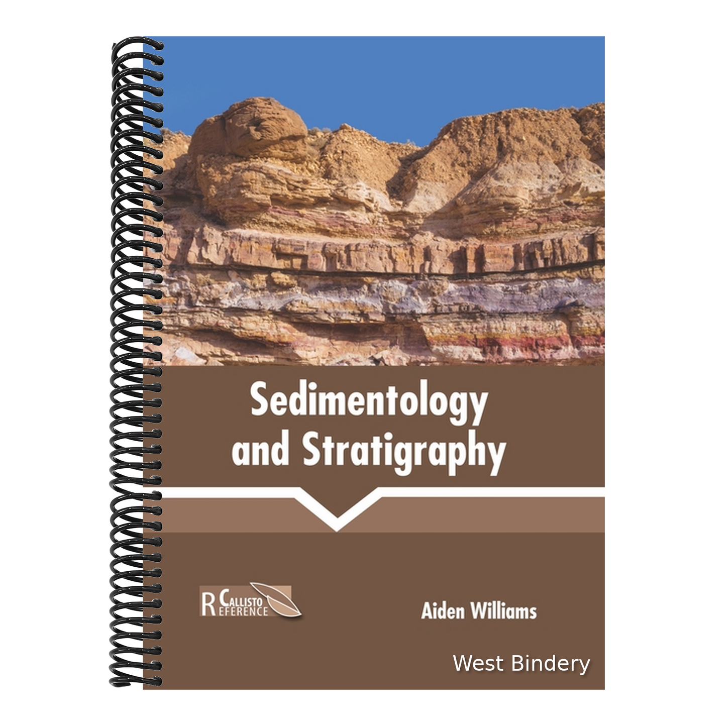 Sedimentology and Stratigraphy