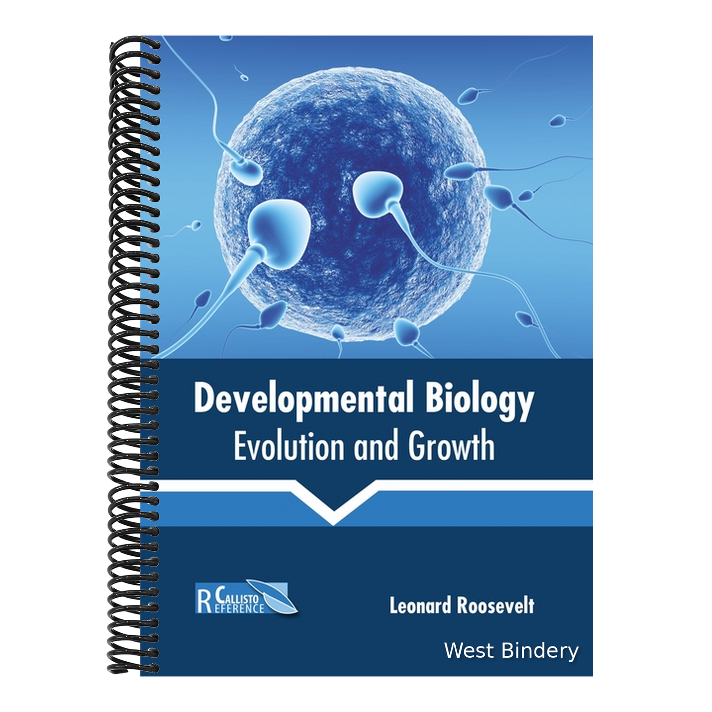 Developmental Biology: Evolution and Growth
