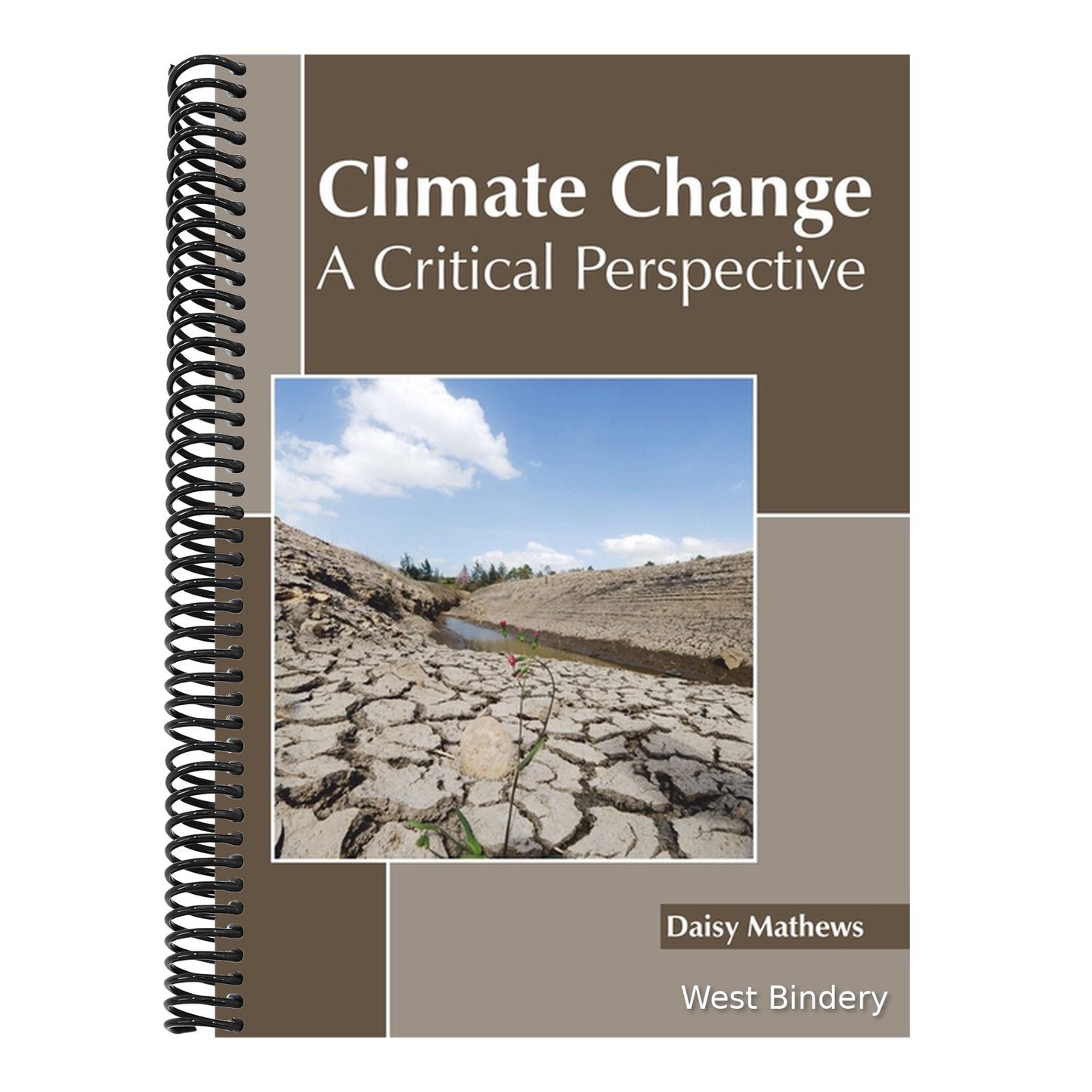 Climate Change: A Critical Perspective