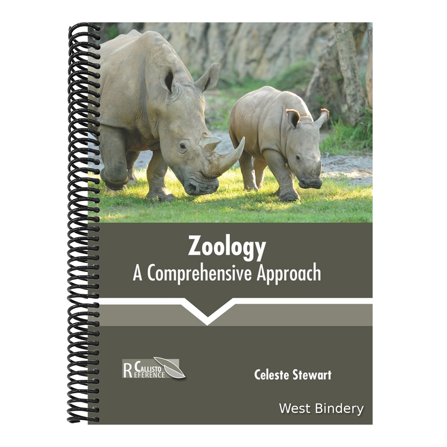 Zoology: A Comprehensive Approach