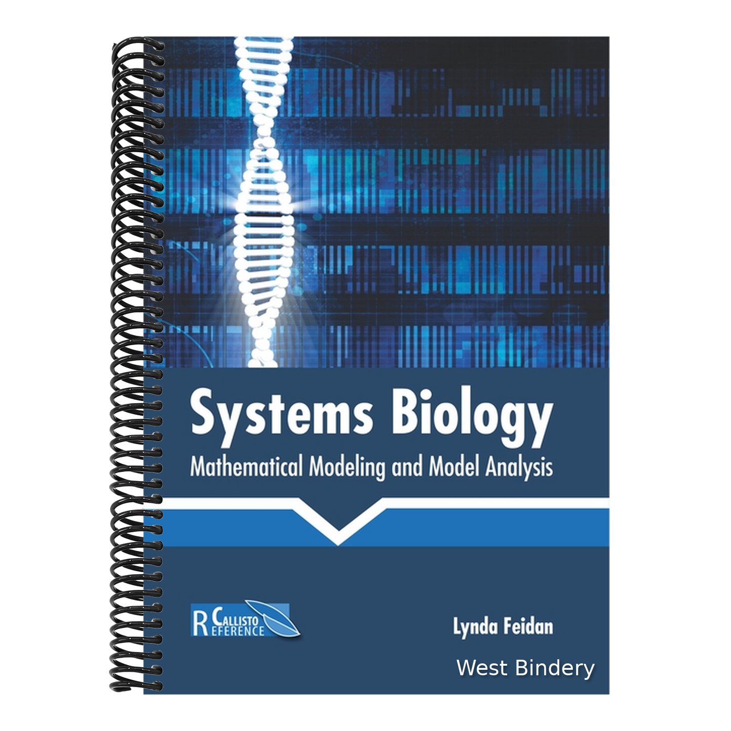 Systems Biology: Mathematical Modeling and Model Analysis