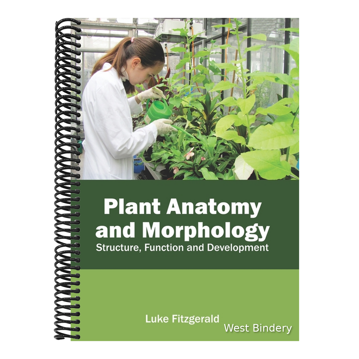 Plant Anatomy and Morphology: Structure, Function and Development