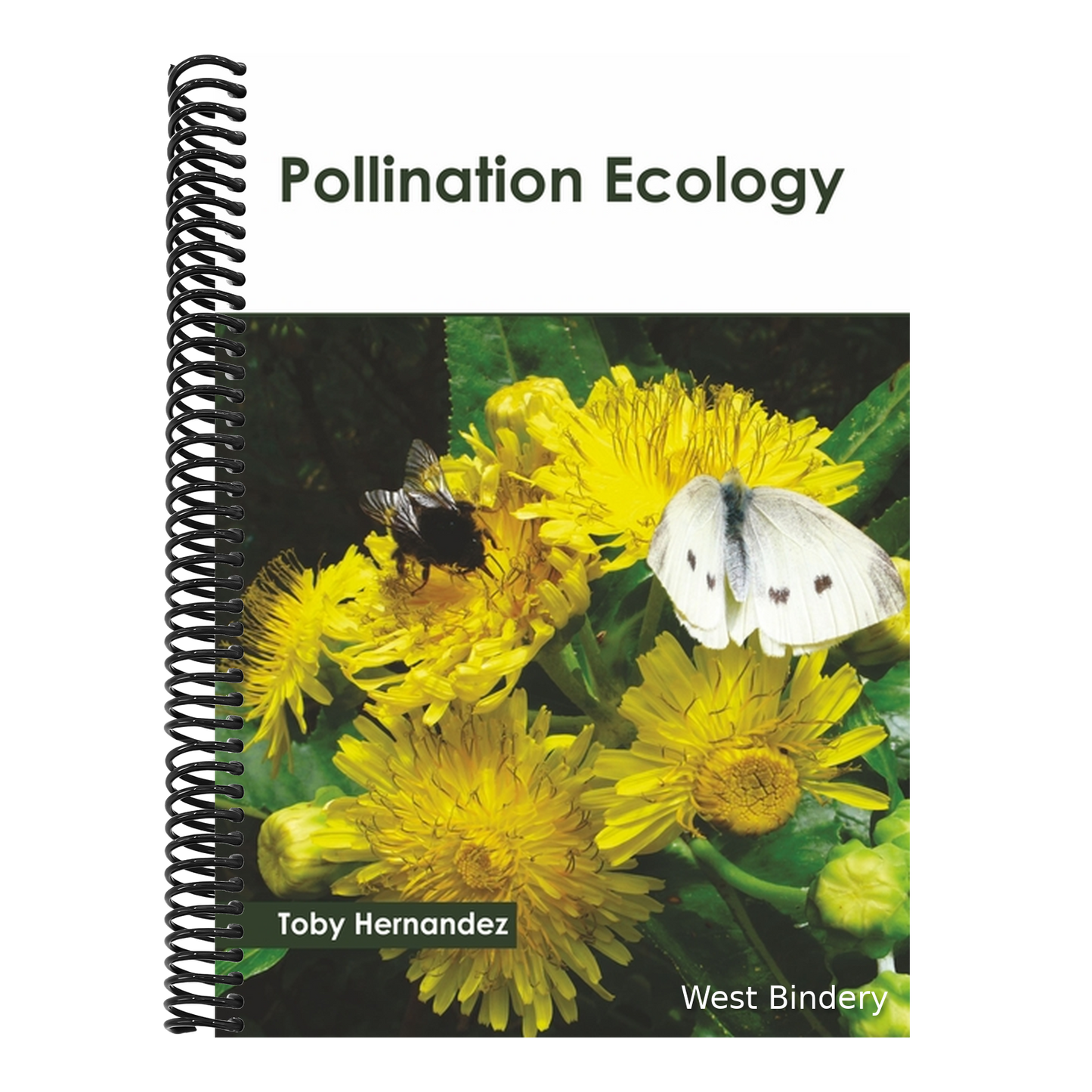 Pollination Ecology