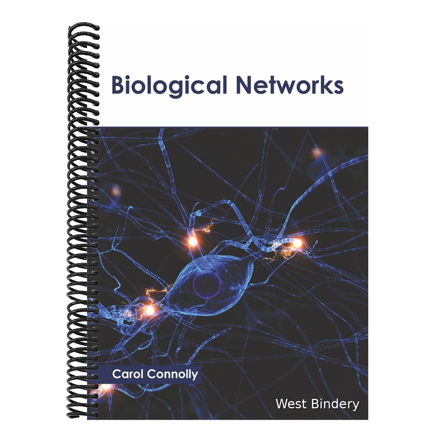 Biological Networks