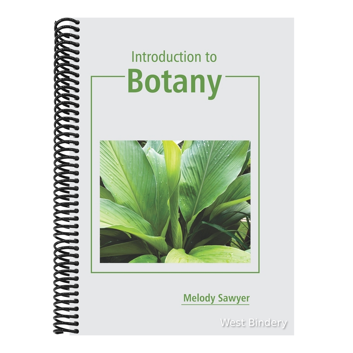 Introduction to Botany
