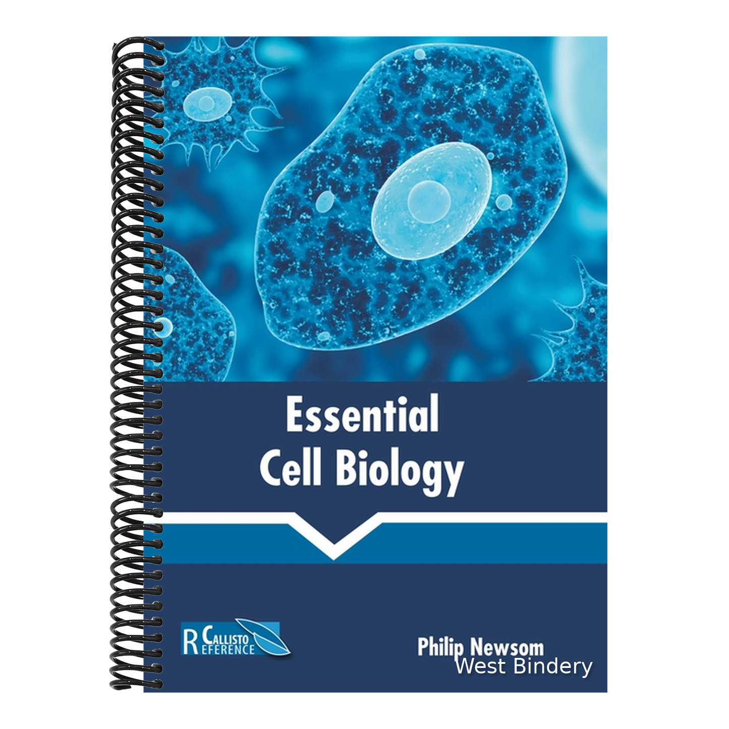 Essential Cell Biology