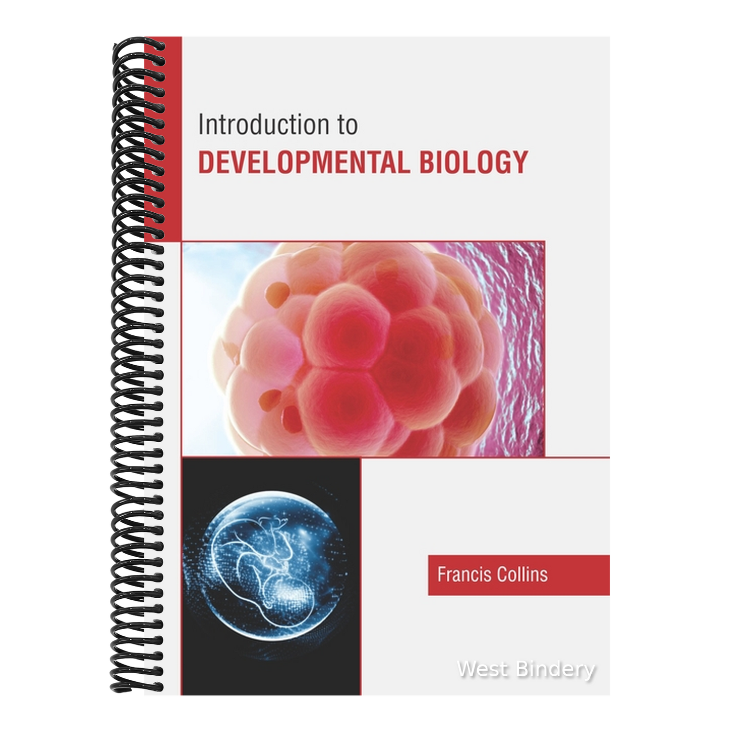Introduction to Developmental Biology