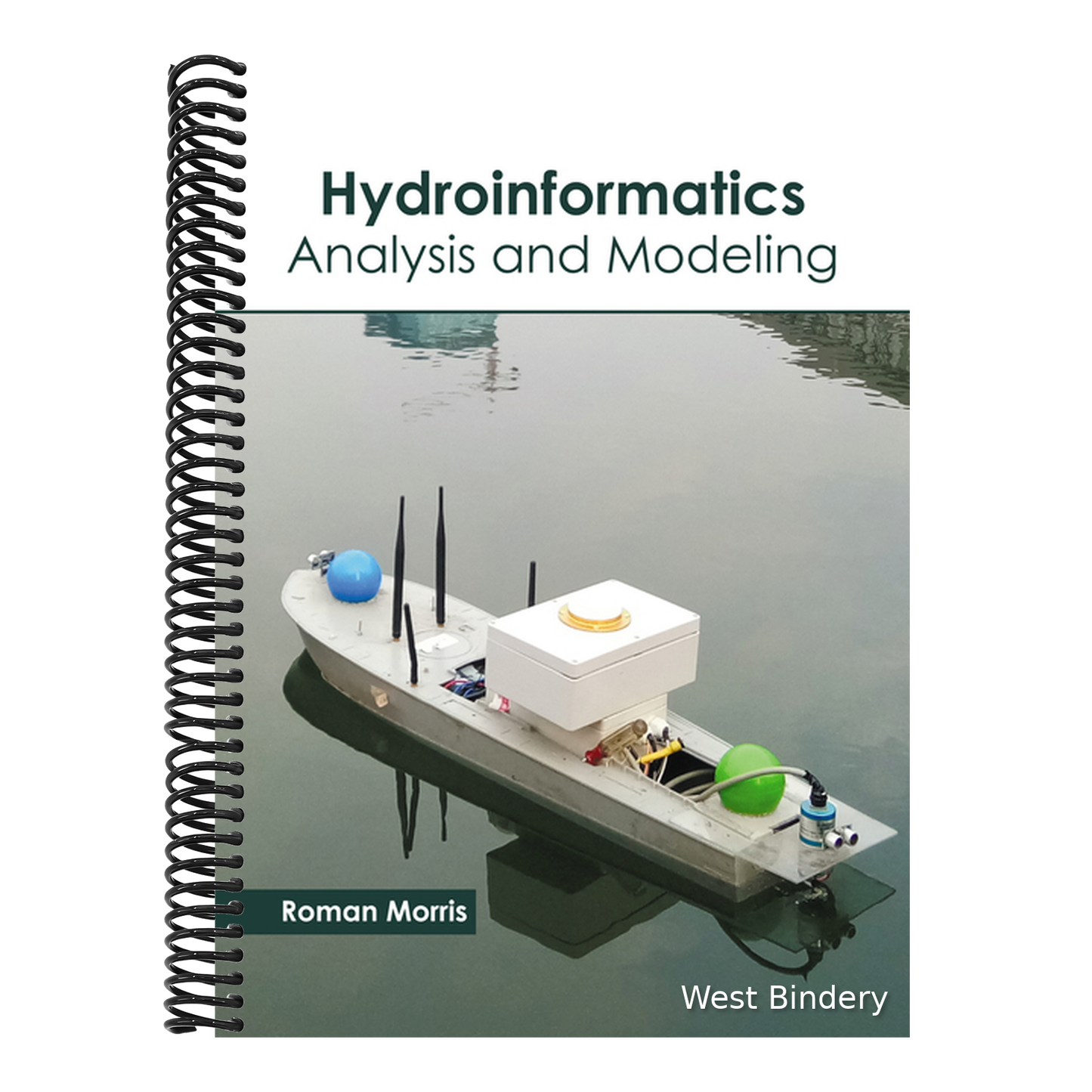 Hydroinformatics: Analysis and Modeling