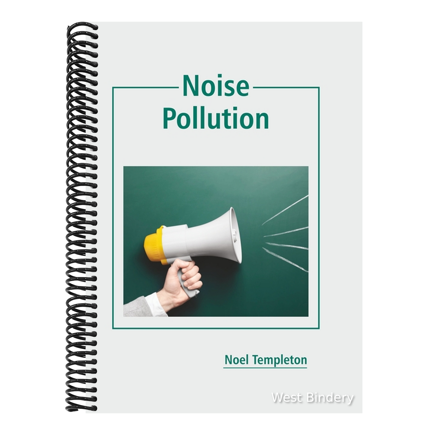 Noise Pollution