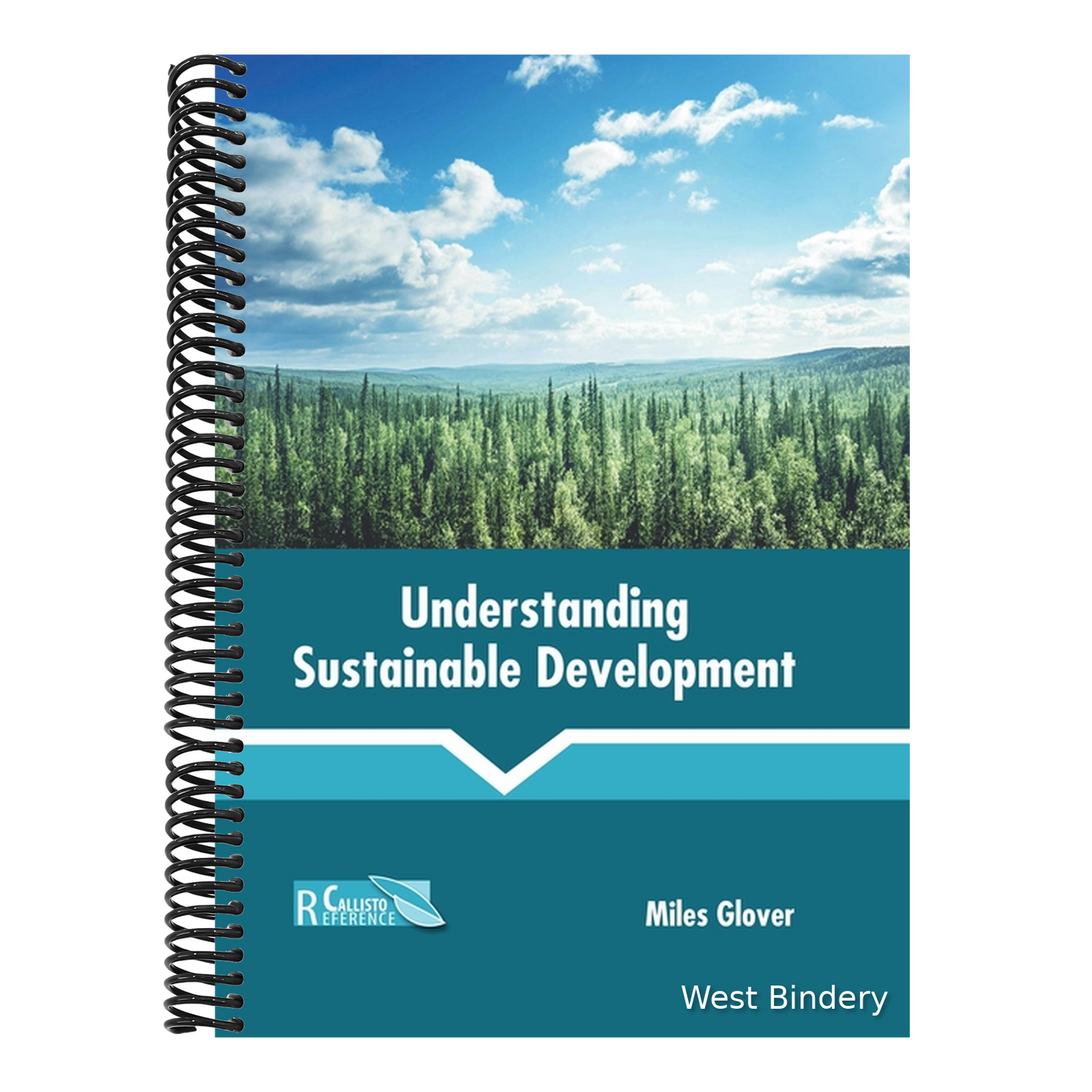 Understanding Sustainable Development