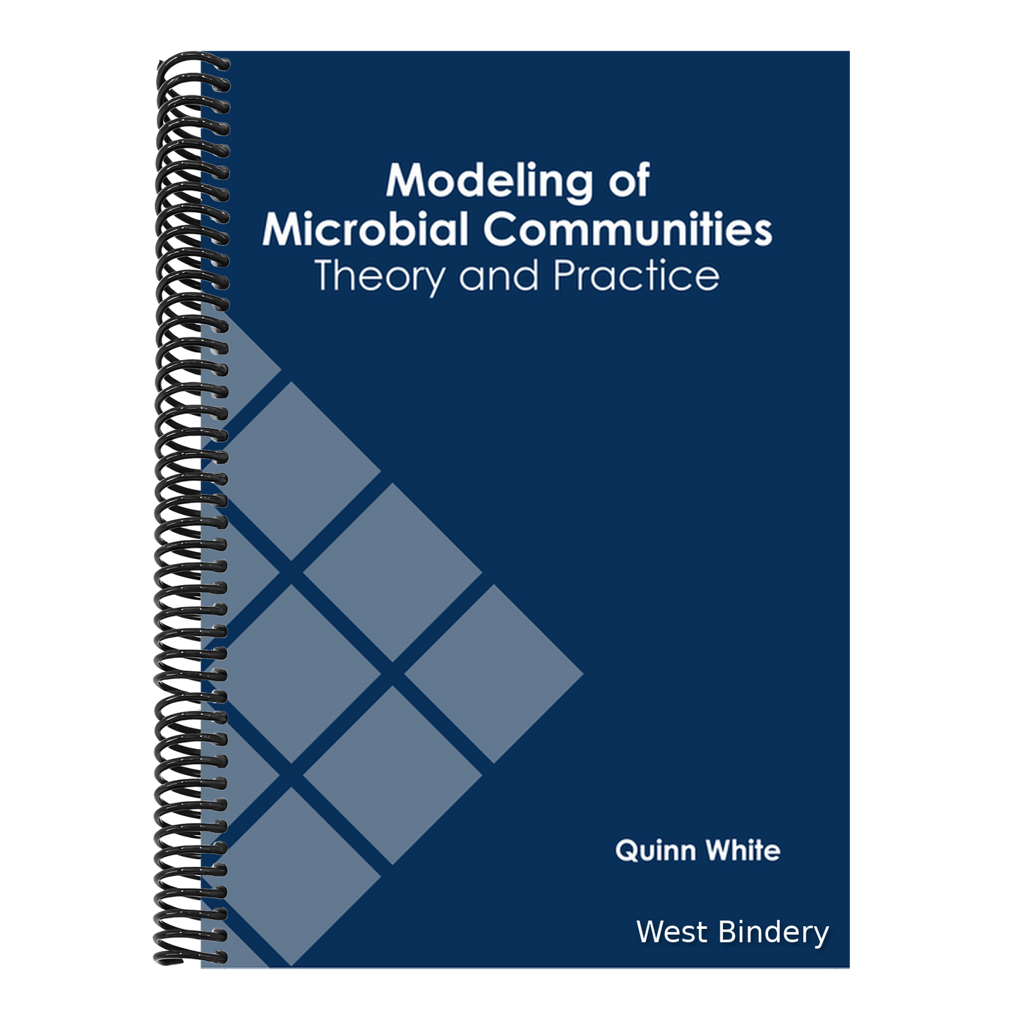 Modeling of Microbial Communities: Theory and Practice