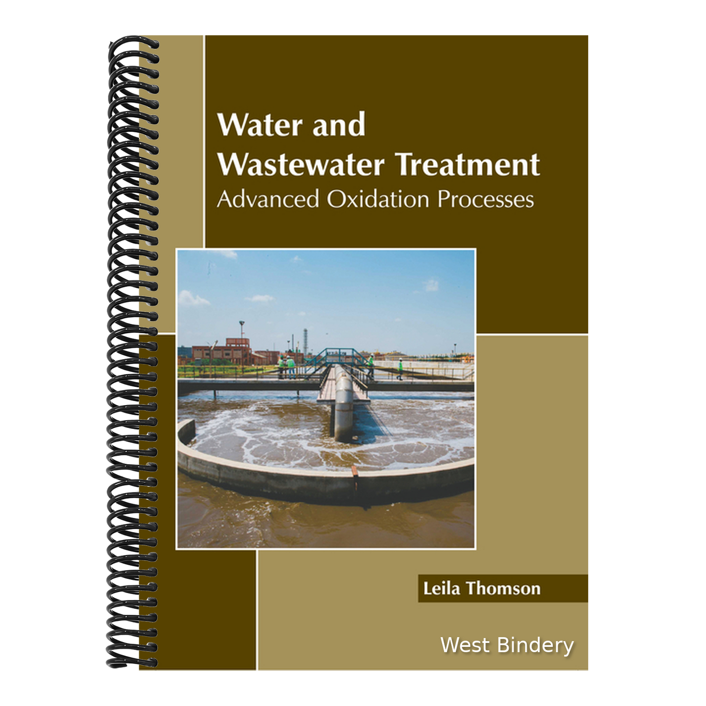 Water and Wastewater Treatment: Advanced Oxidation Processes