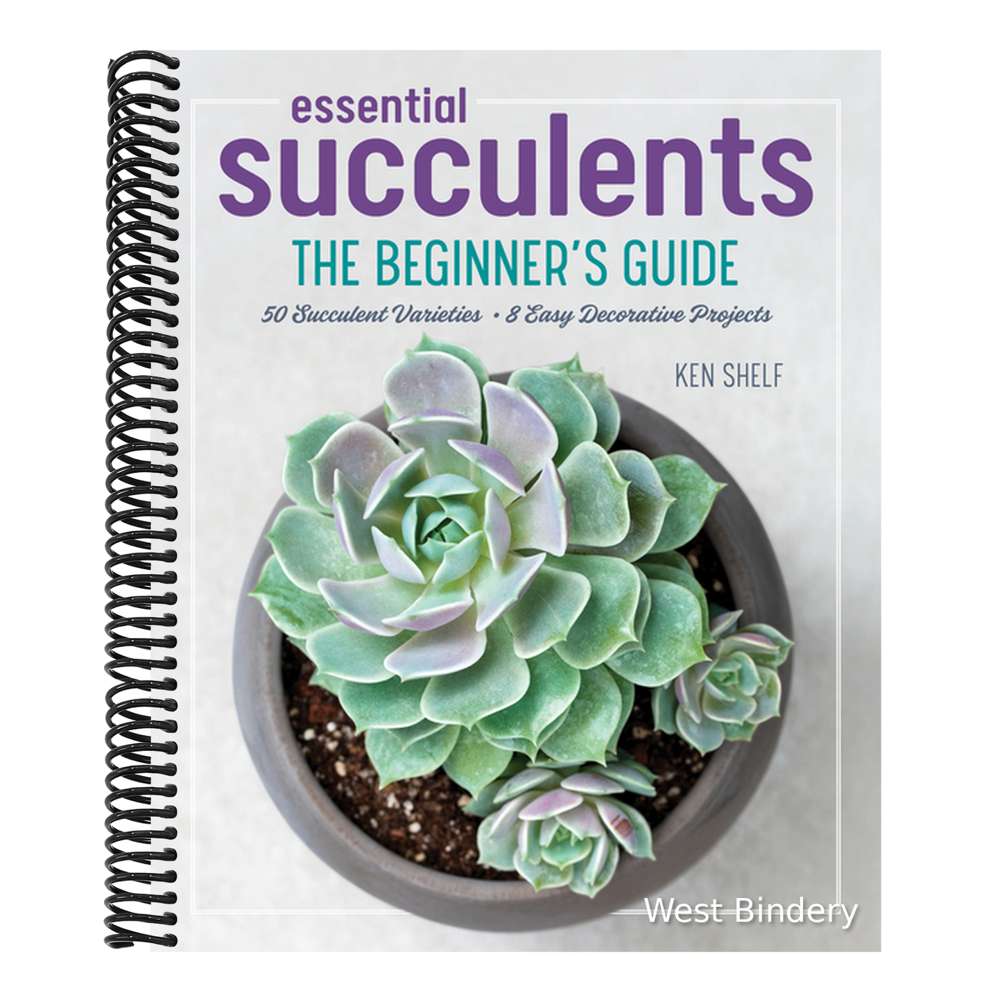 Essential Succulents: The Beginner's Guide
