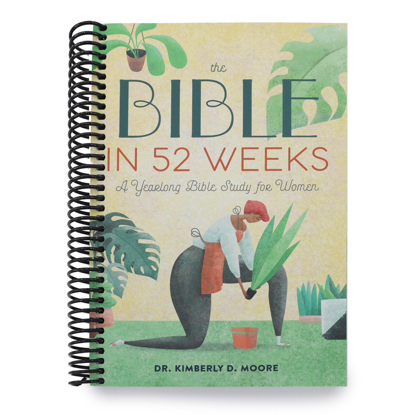 The Bible in 52 Weeks: A Yearlong Bible Study for Women (Bible in 52 Weeks) (Spiral Bound)