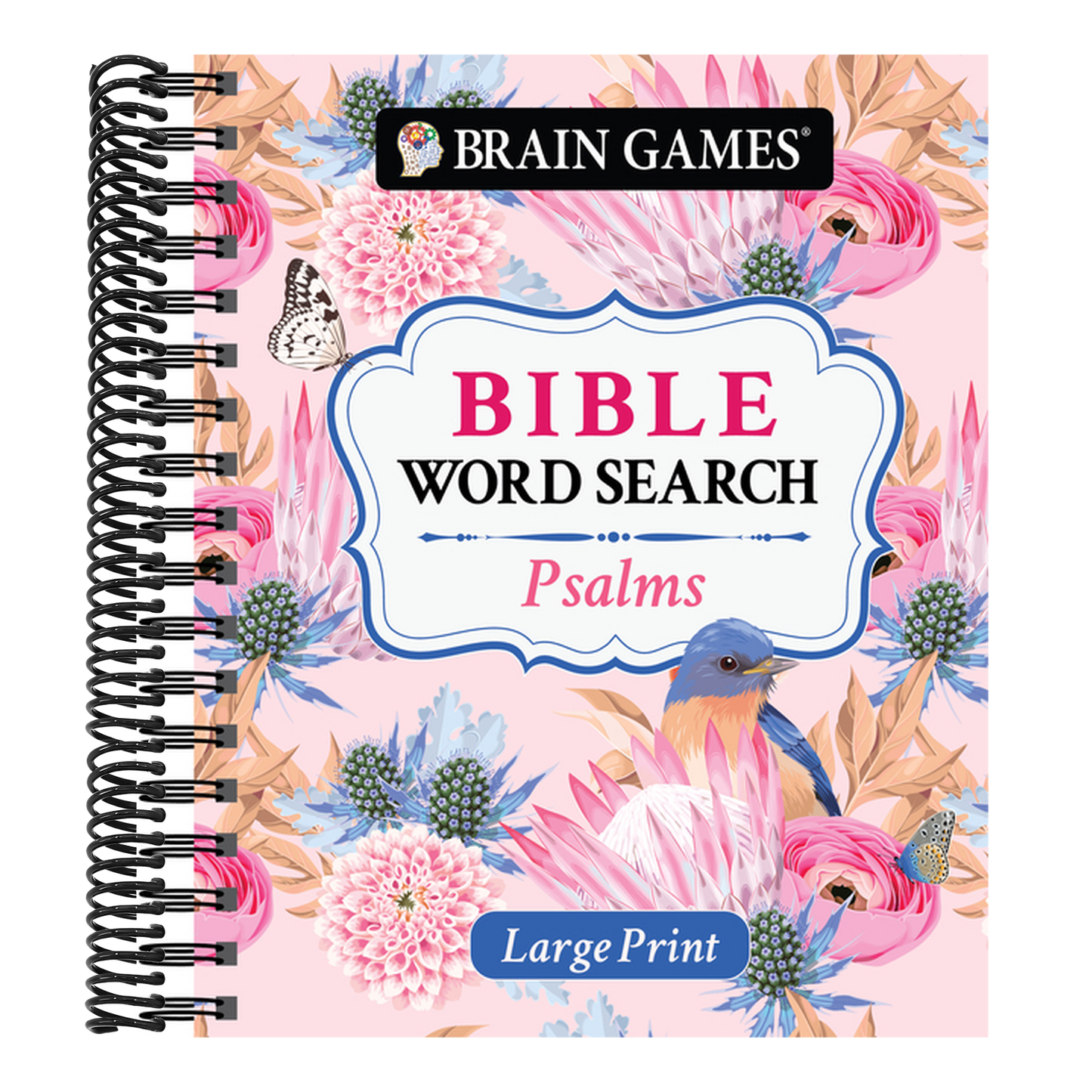 Brain Games - Large Print Bible Word Search: Psalms