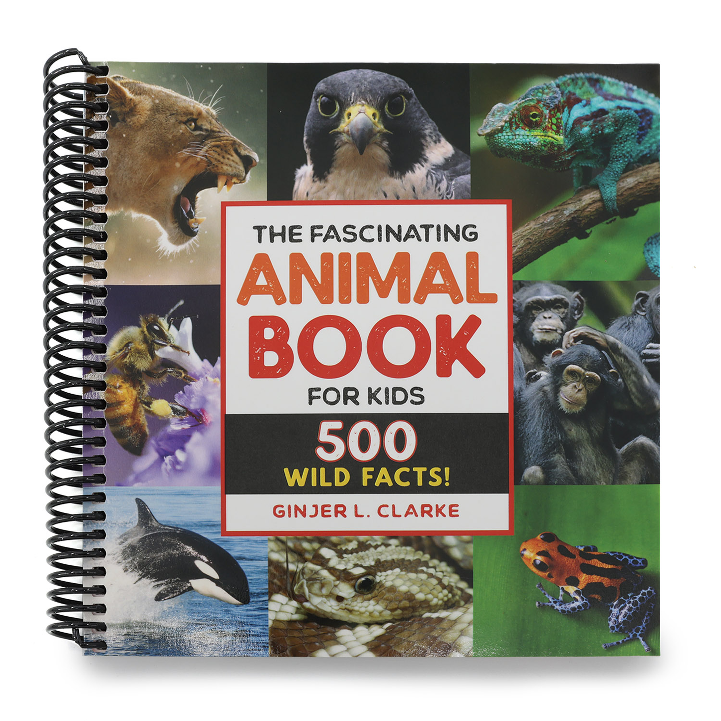 The Fascinating Animal Book for Kids: 500 Wild Facts! (Spiral Bound)