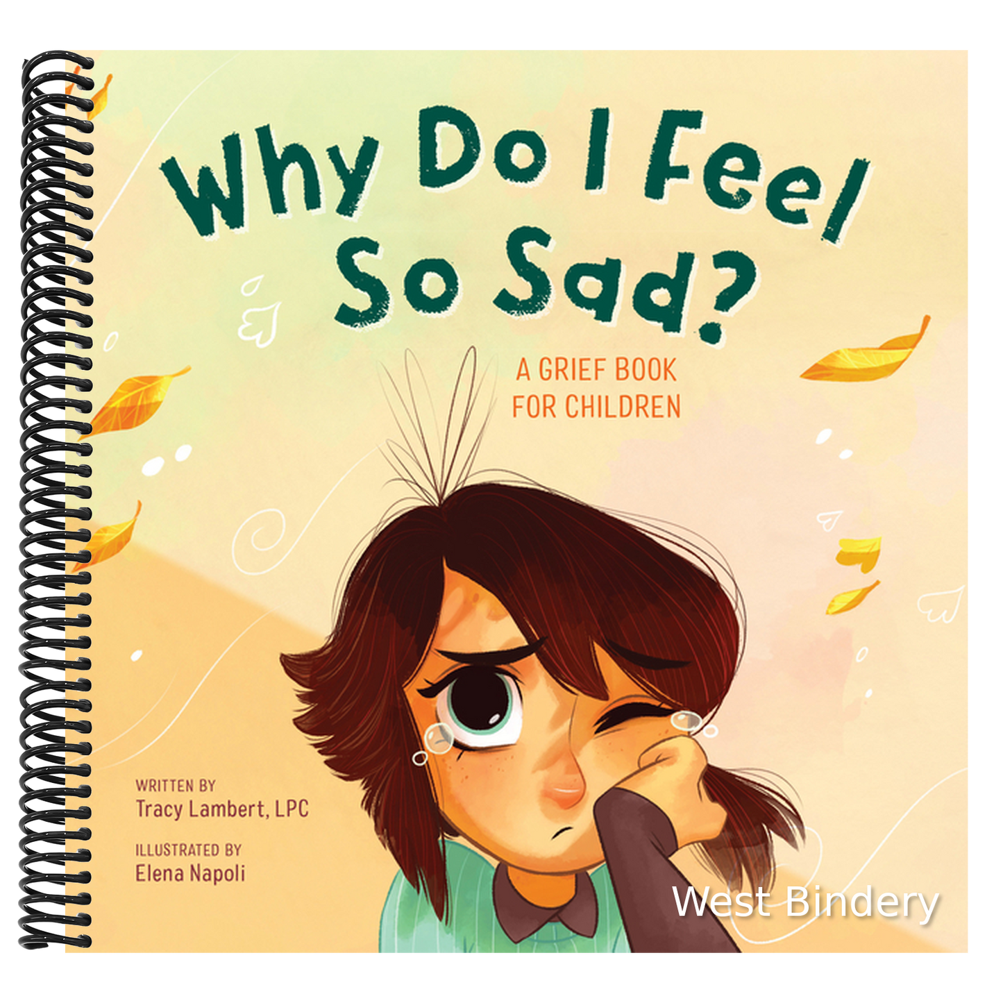Why Do I Feel So Sad?: A Grief Book for Children