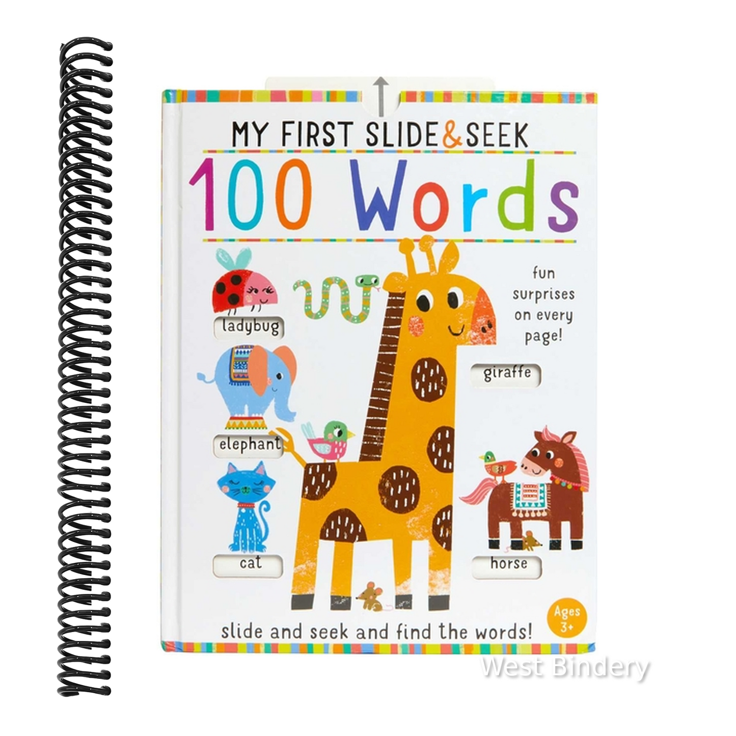 My First Slide and Seek: 100 Words