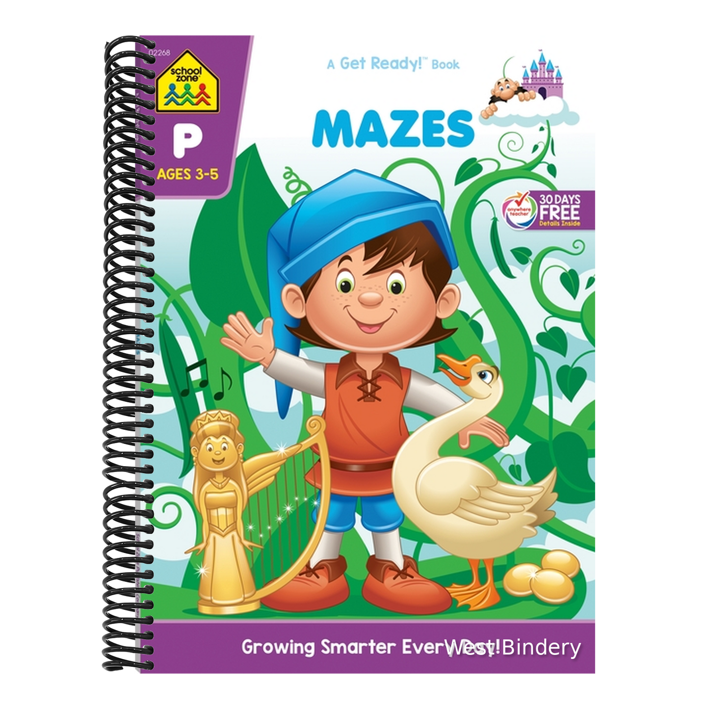 School Zone Mazes Workbook