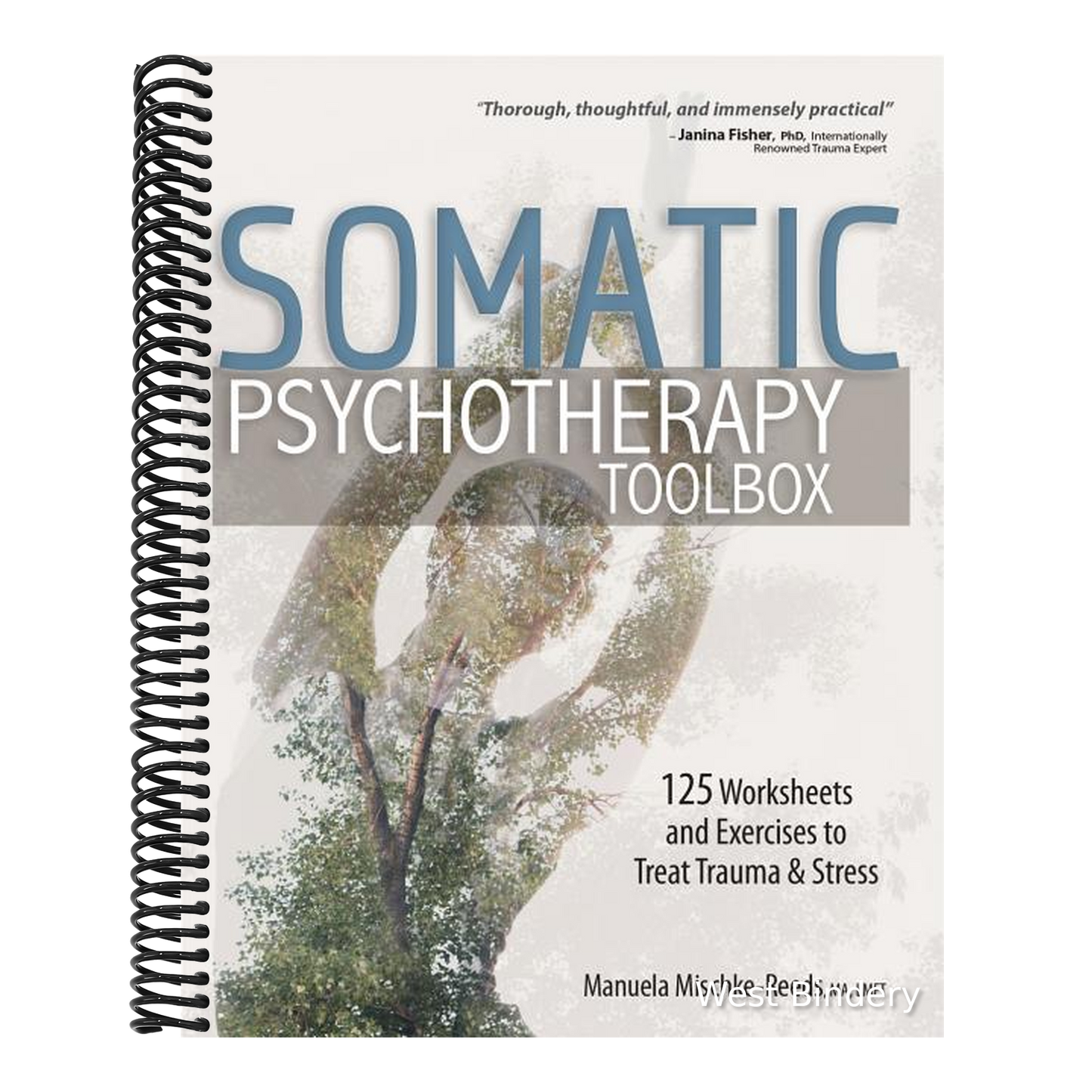 Somatic Psychotherapy Toolbox: 125 Worksheets and Exercises to Treat Trauma & Stress