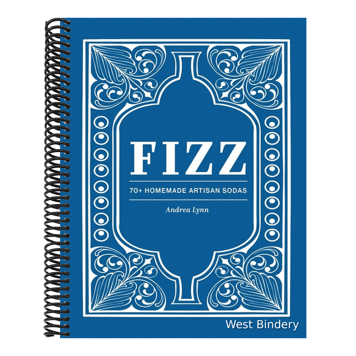 Fizz: 70+ Homemade Artisan Sodas