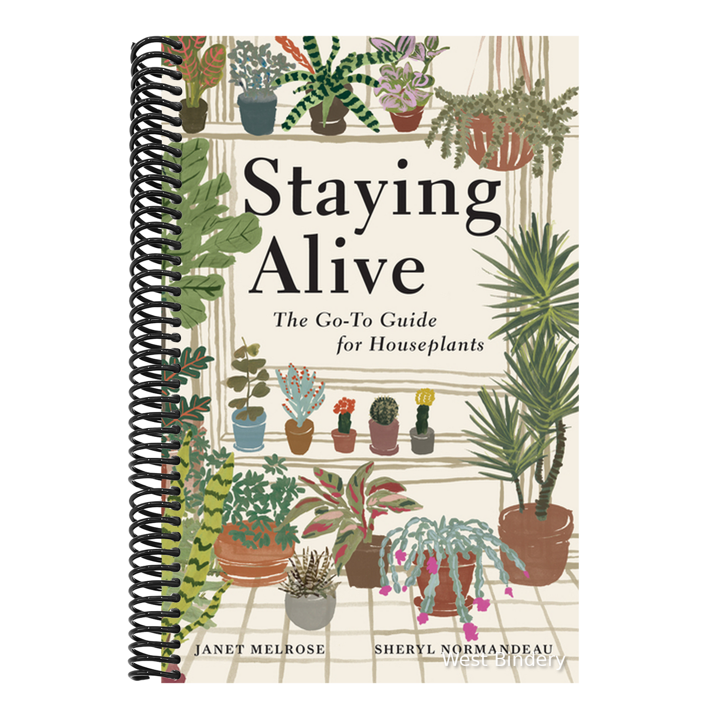 Staying Alive: The Go-To Guide for Houseplants