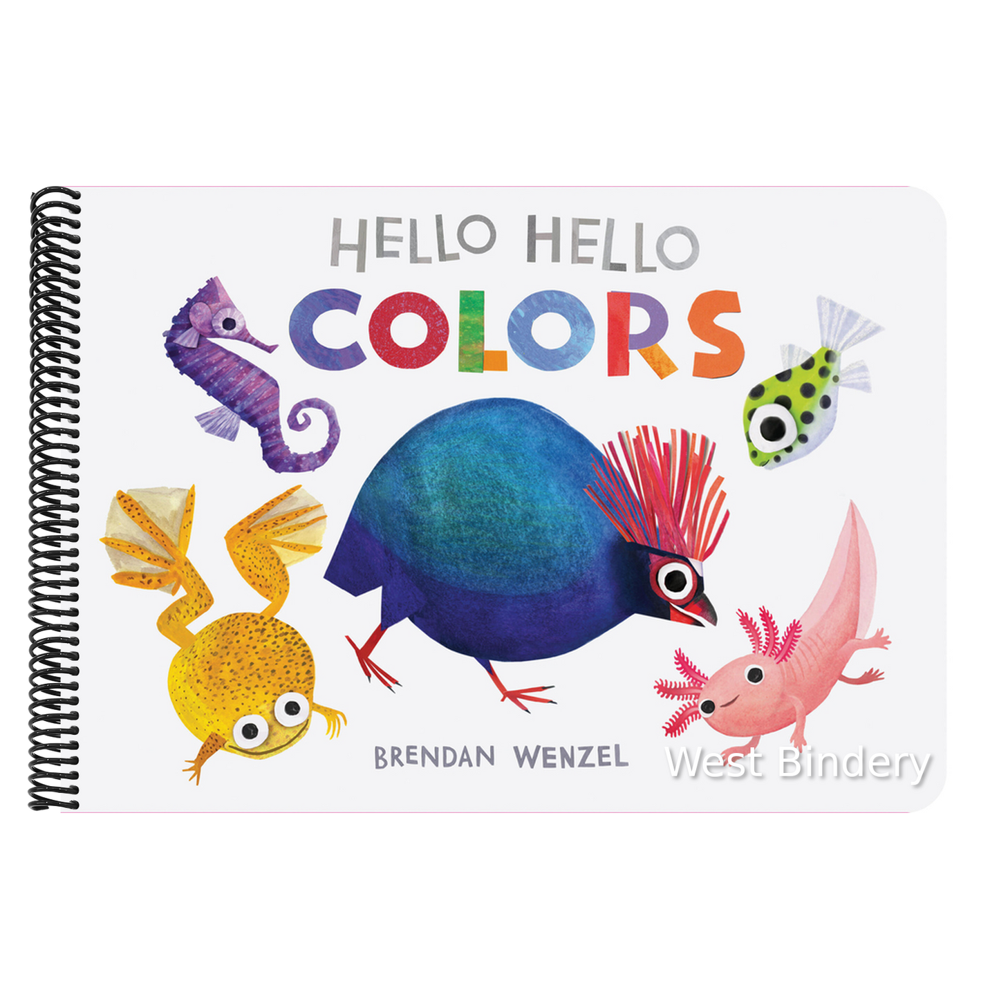 Hello Hello Colors