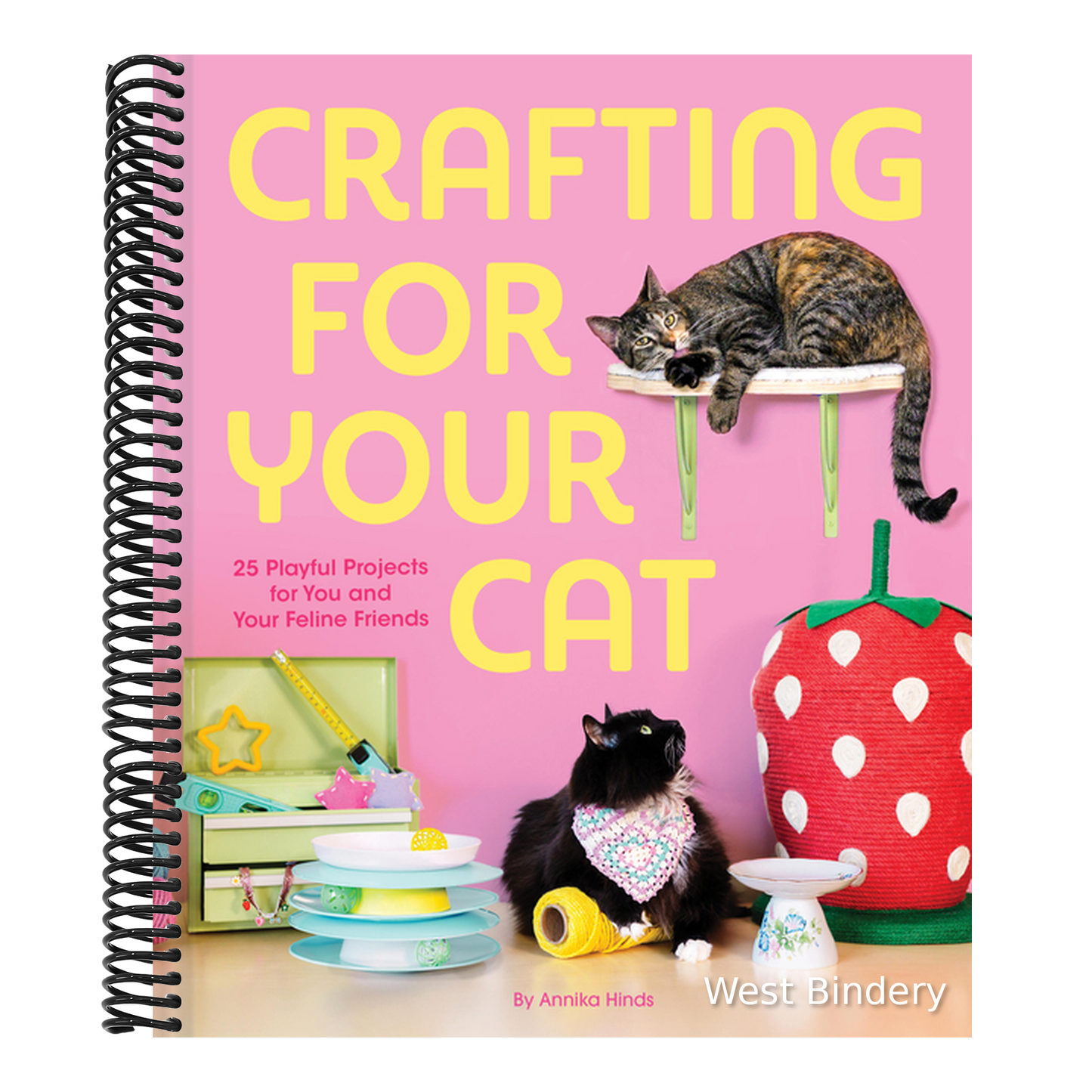 Crafting for Your Cat: 25 Playful Projects for You and Your Feline Friends