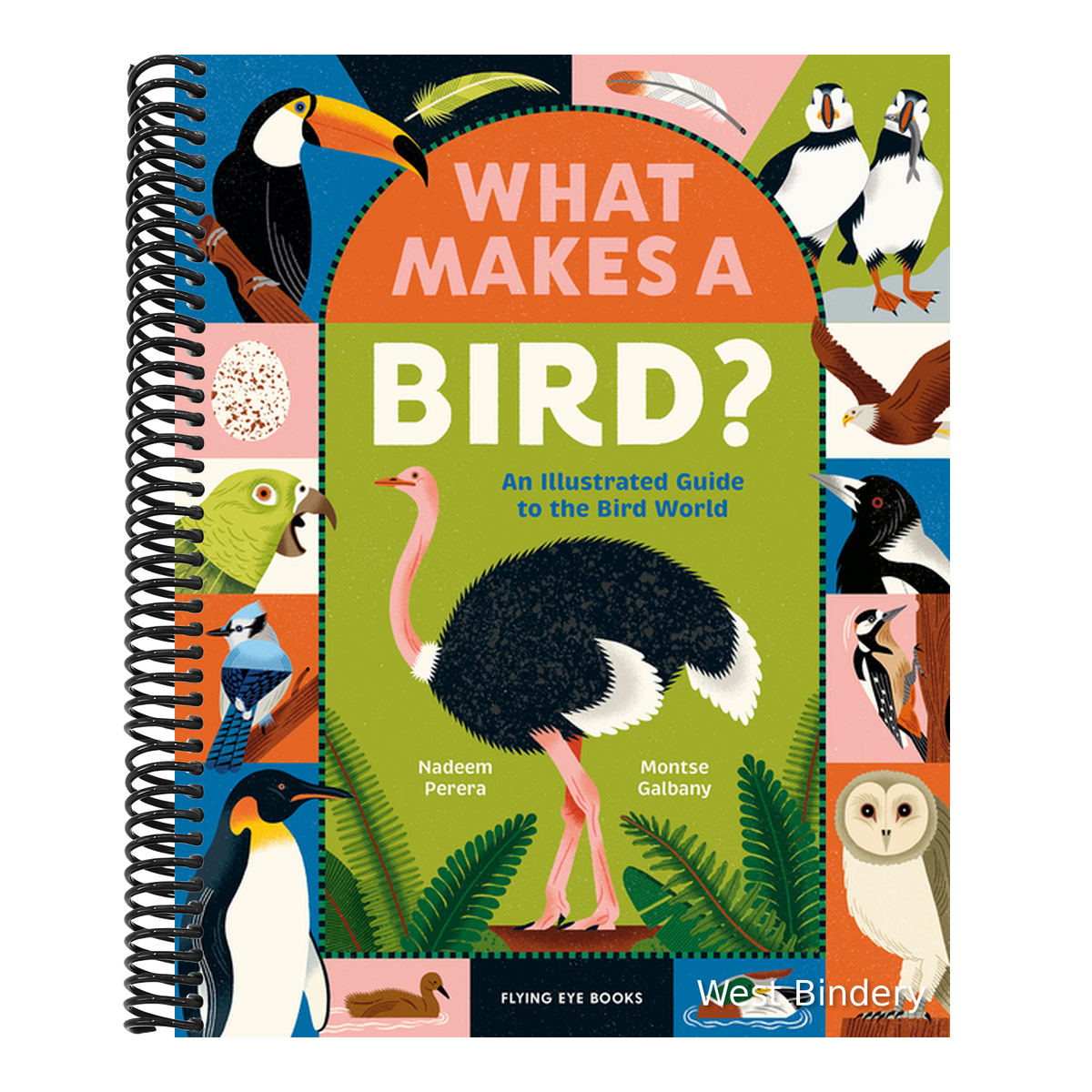 What Makes a Bird?: An Illustrated Guide to the Bird World