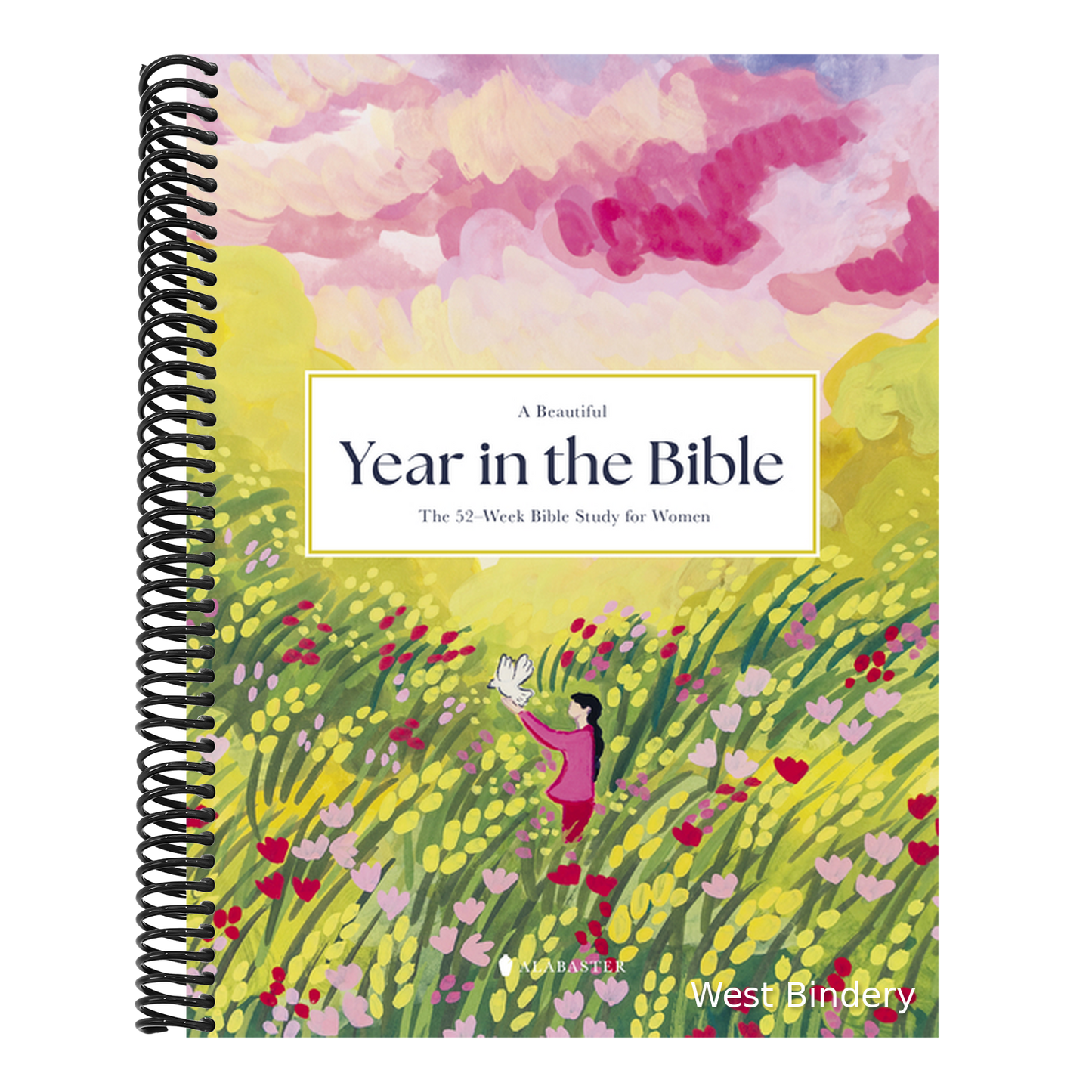 A Beautiful Year in the Bible: The 52-Week Bible Study for Women (Sc)